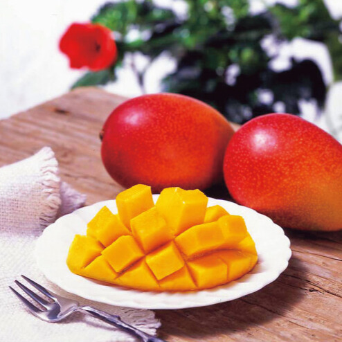 宮崎県産　完熟マンゴー（１玉）