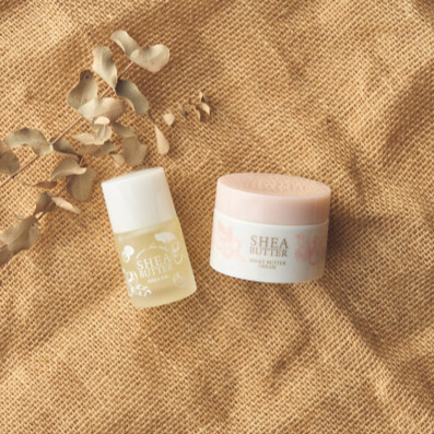 生活の木　シアバターミルキークリーム＆シアオイル