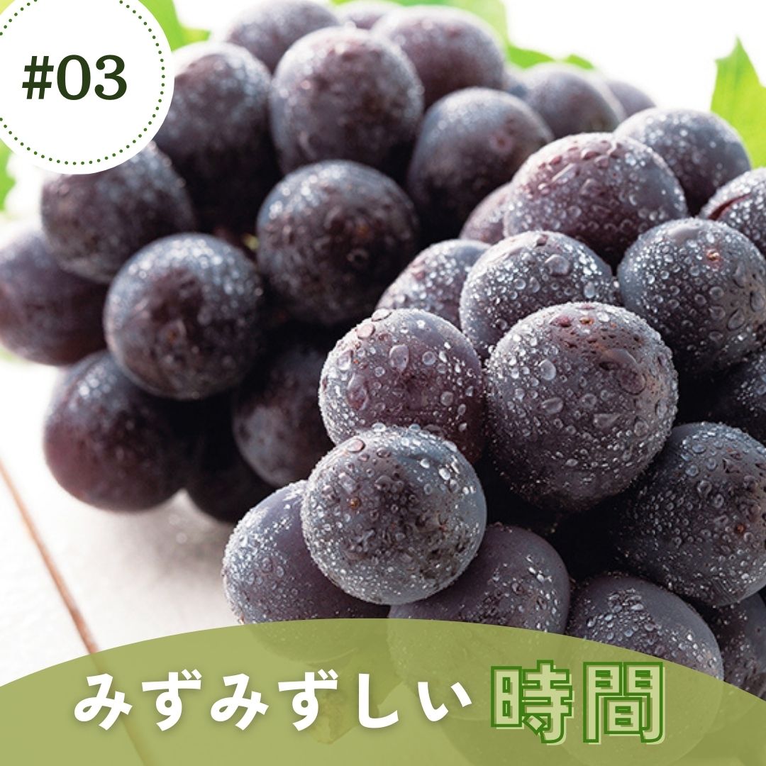 【特集#03】みずみずしい時間