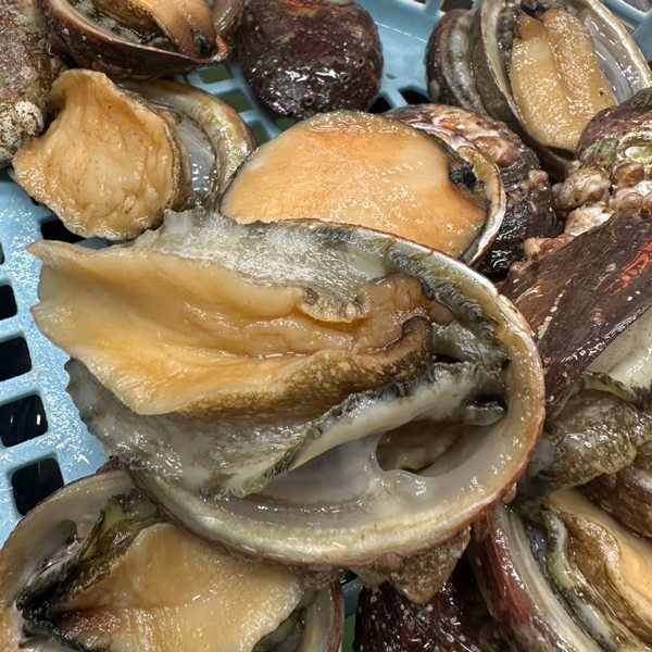 南房総・館山産地直送！とこぶし