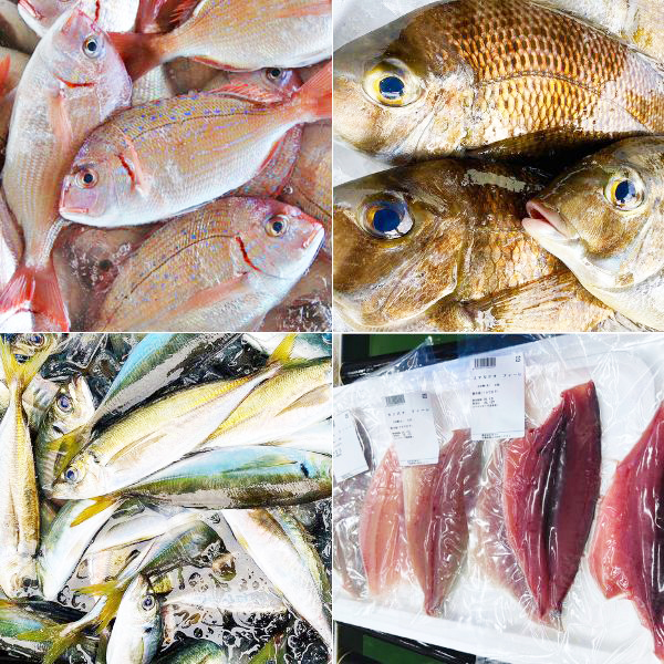 南房総・館山産地直送！朝獲れフィレセット