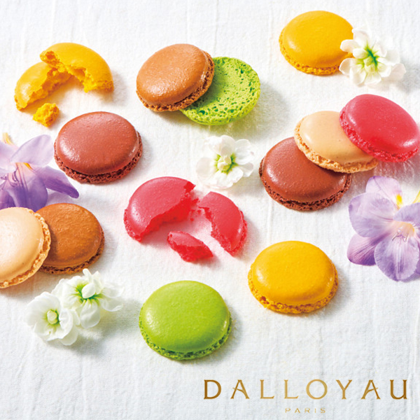 ダロワイヨ　マカロンラスク（８枚）