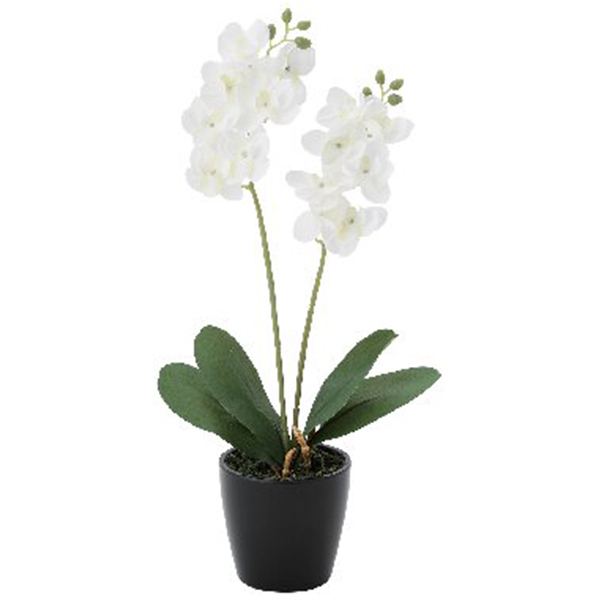 ミニオーキット造花(ホワイト)