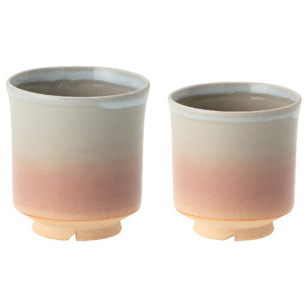 萩焼 姫萩夫婦湯呑