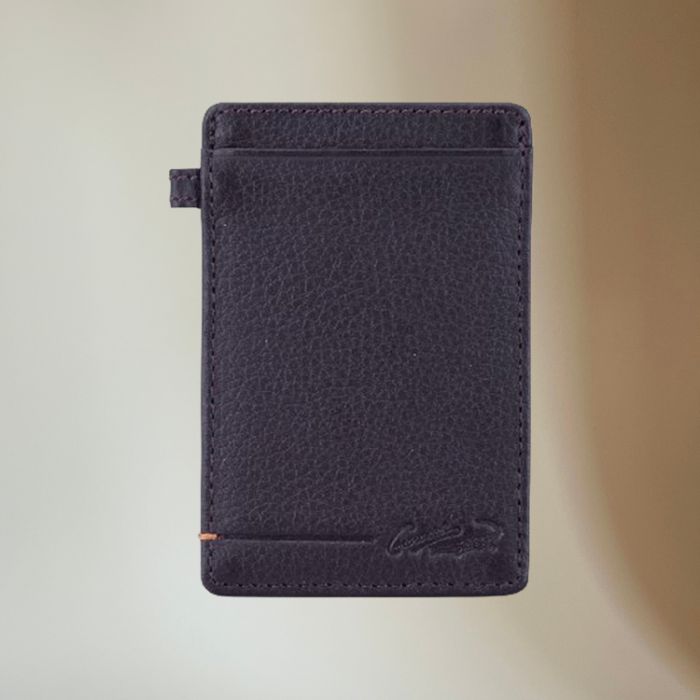 クロコダイル パスケース(チョコ)