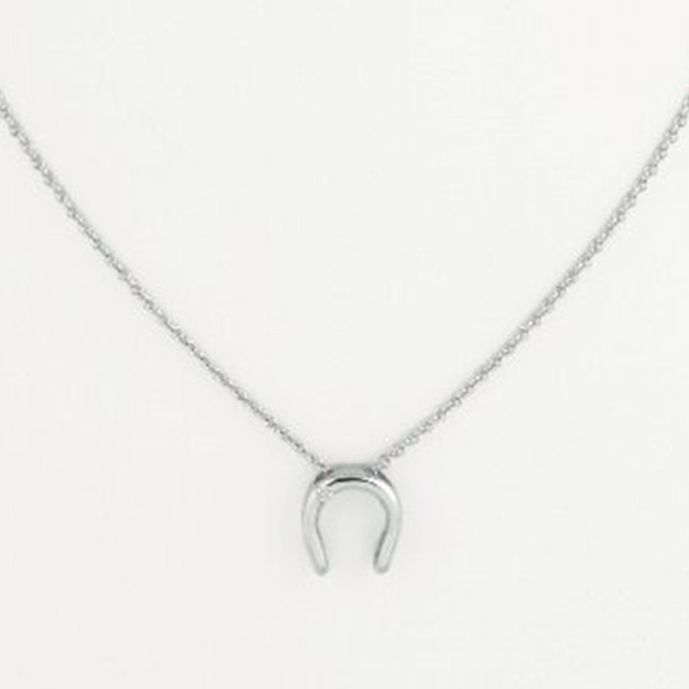 馬蹄型ペンダント(2WAY)