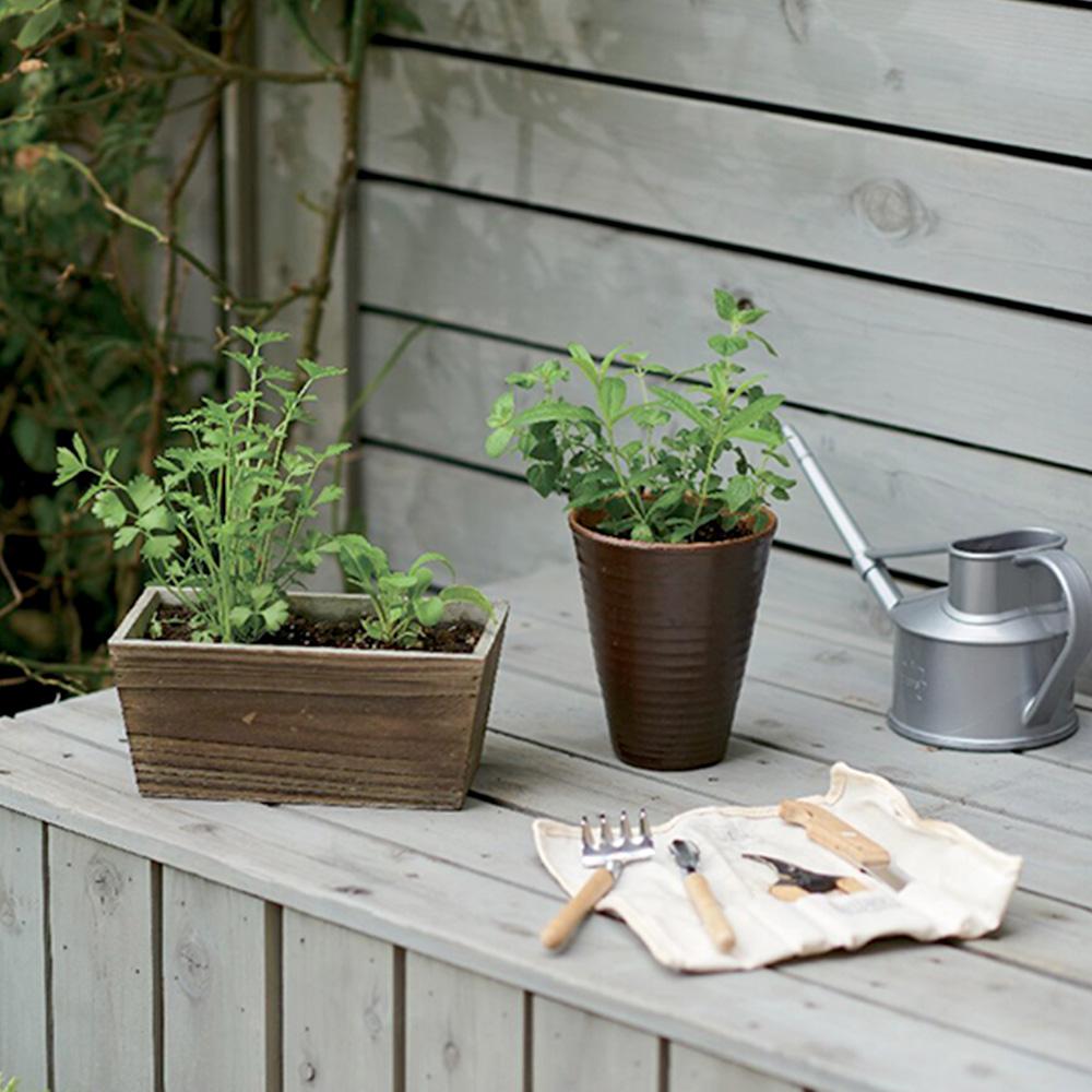 ハーブ寄せ植え(サラダ系)