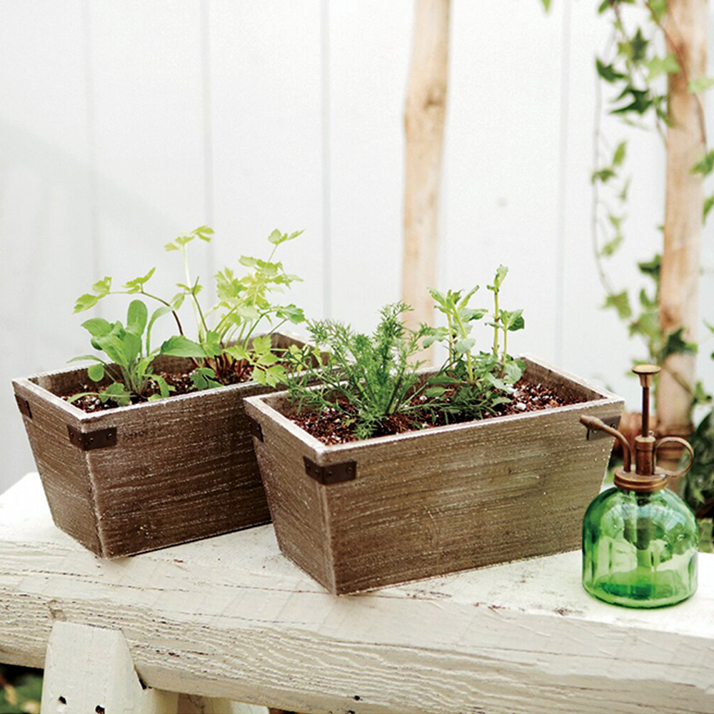 ハーブ寄せ植え(ティー系)