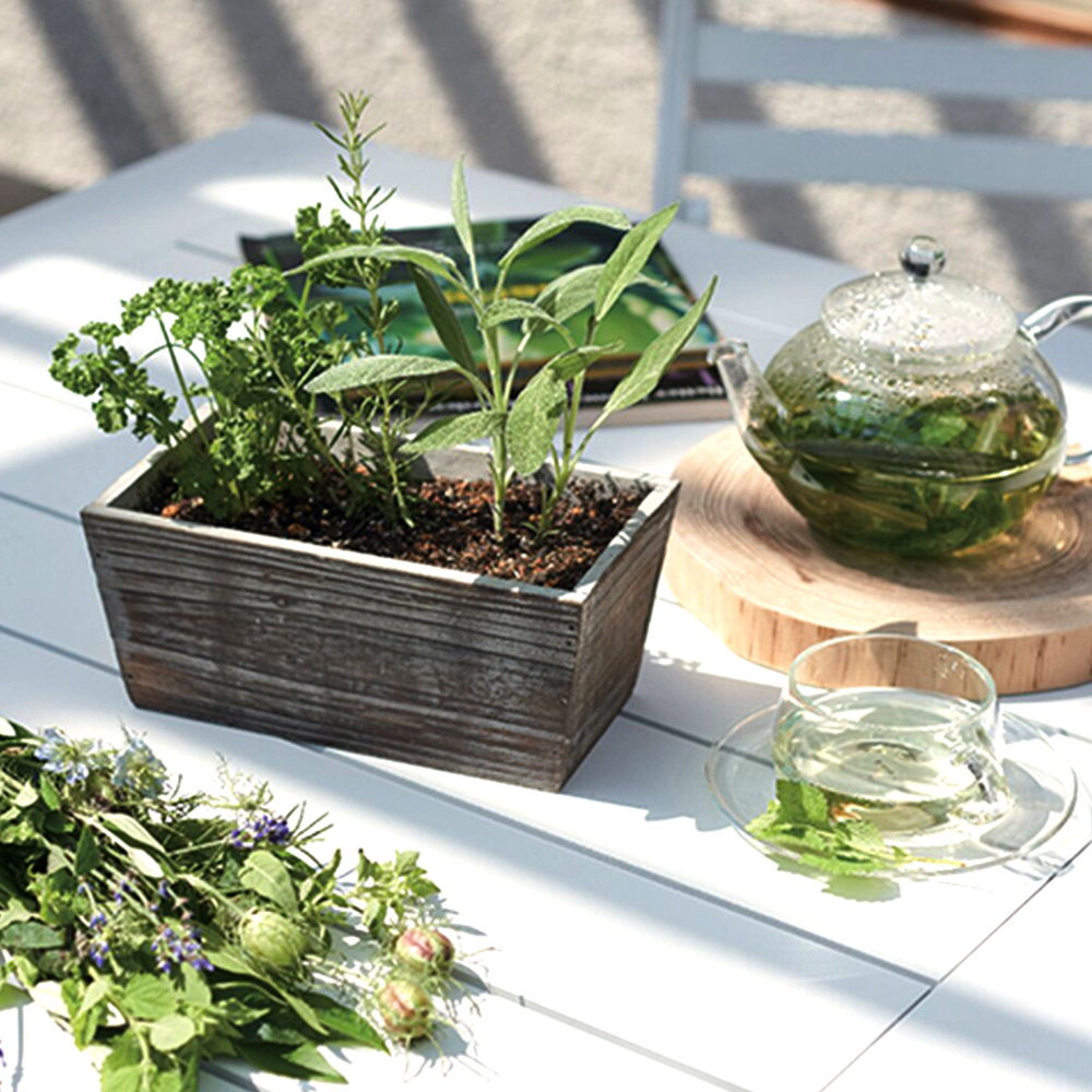 ハーブ寄せ植え(サラダ系)