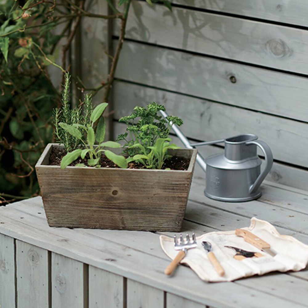 ハーブ寄せ植え(サラダ系)