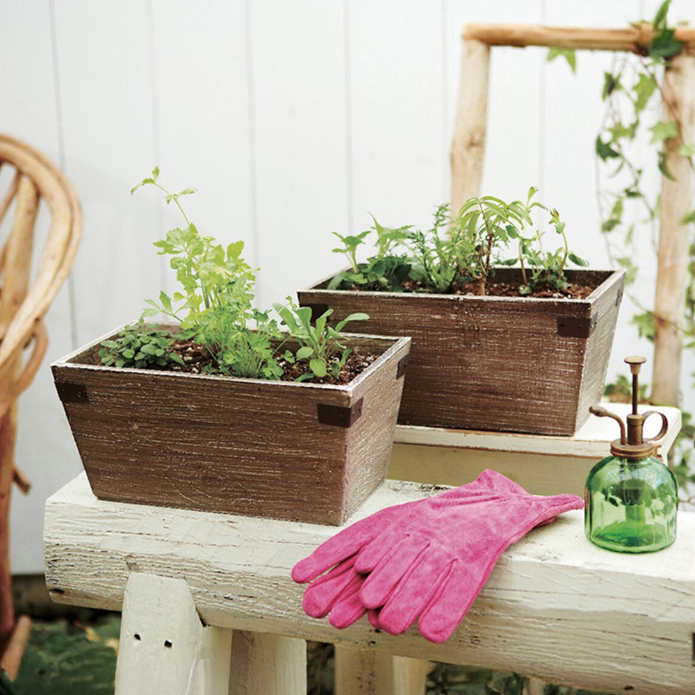 ハーブ寄せ植え(ティー系)