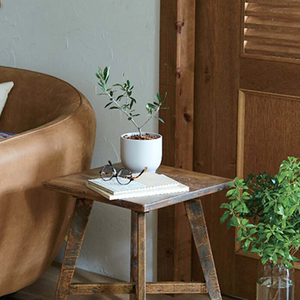 オリーブ陶器鉢植えN