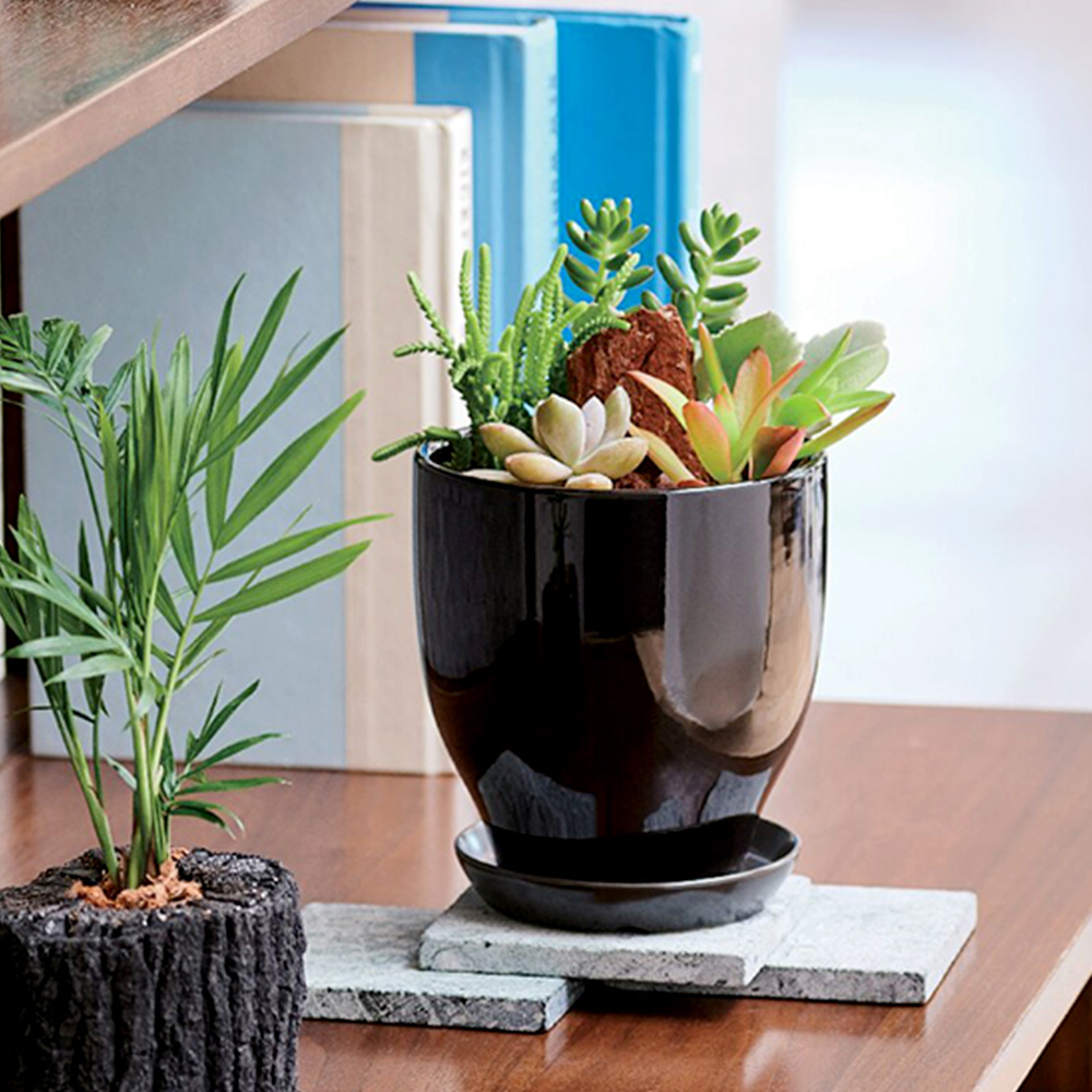 多肉植物寄せ植え