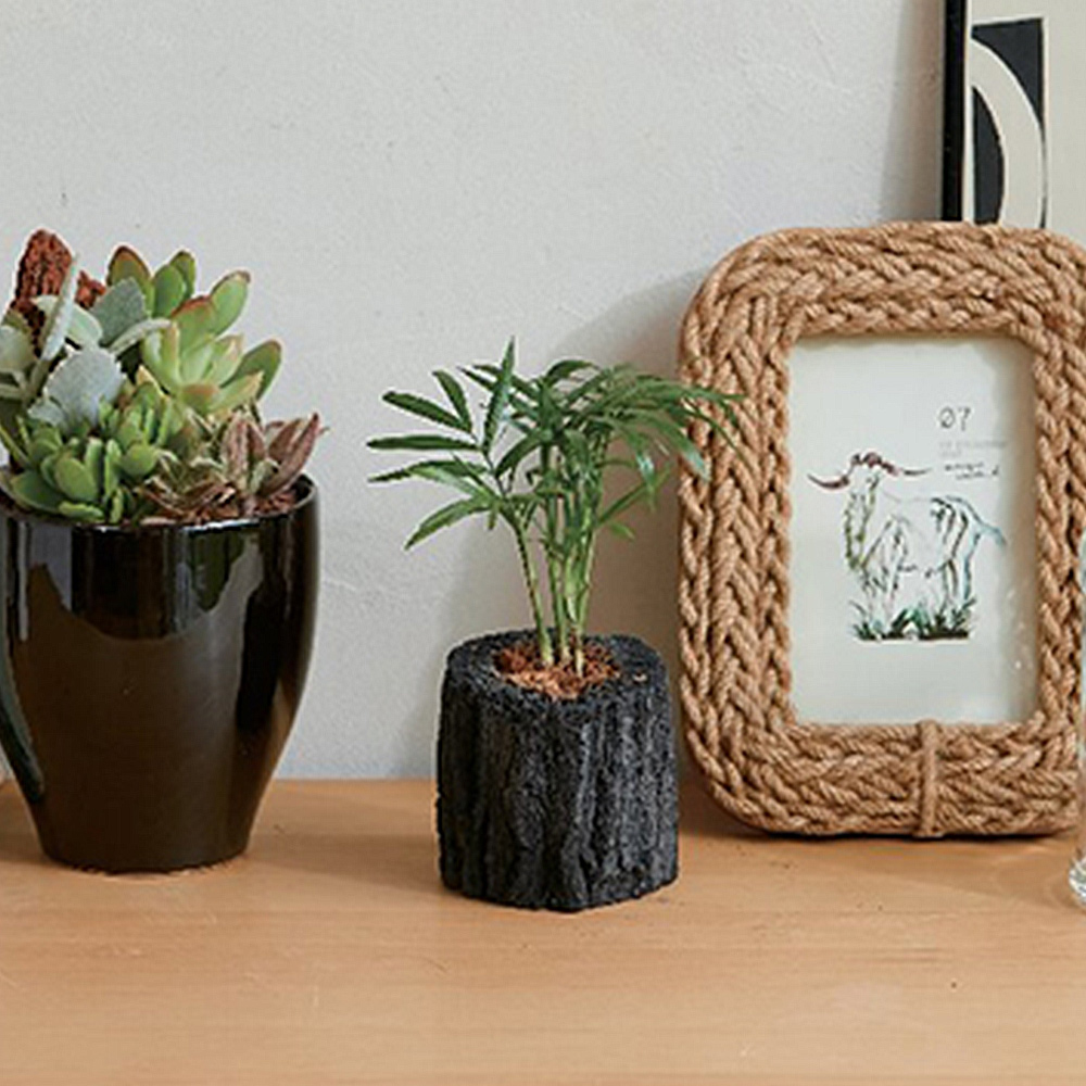 テーブルヤシ炭花器植え