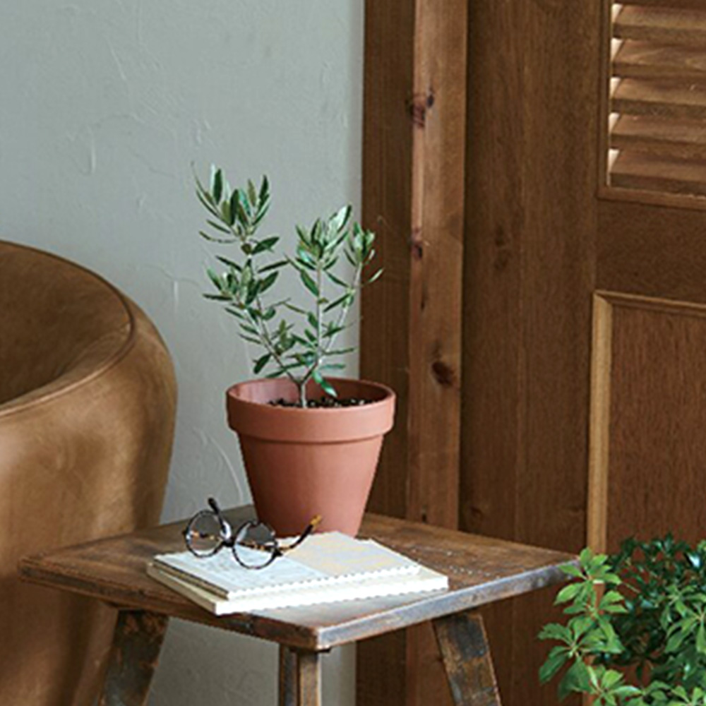 オリーブ陶器鉢植え