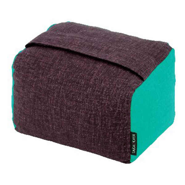 洛中高岡屋 コロミィ(チョコミント)