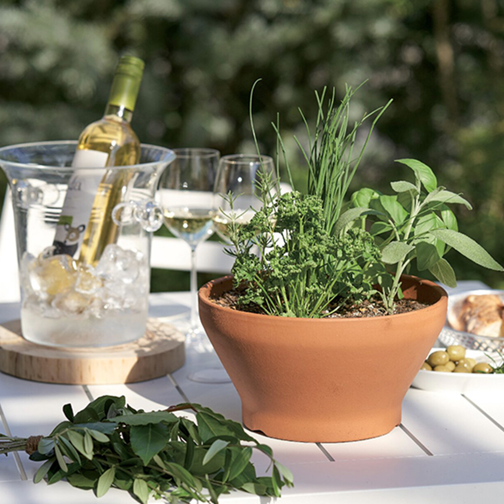 ハーブ寄せ植え