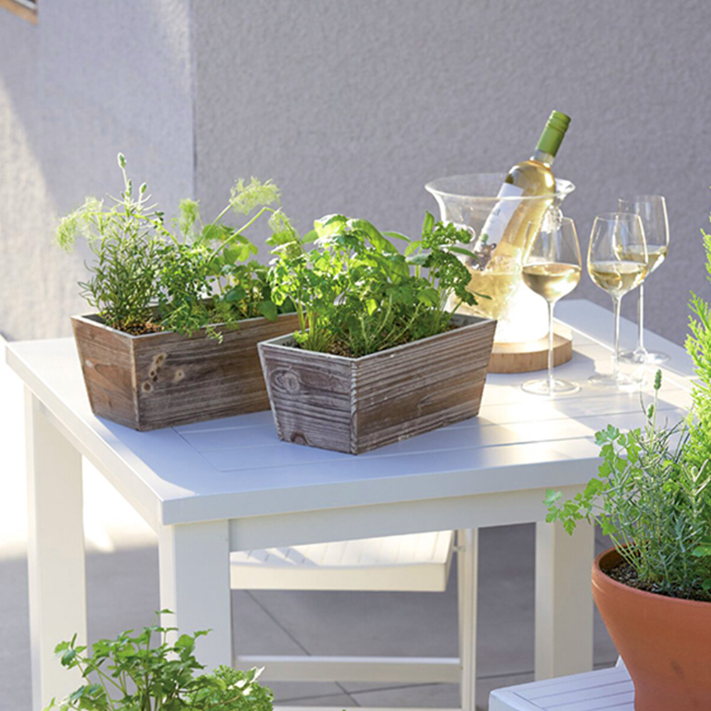 ハーブ寄せ植え(サラダ系・ティー系)