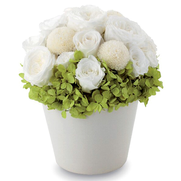 プリザーブドフラワー(ホワイト)