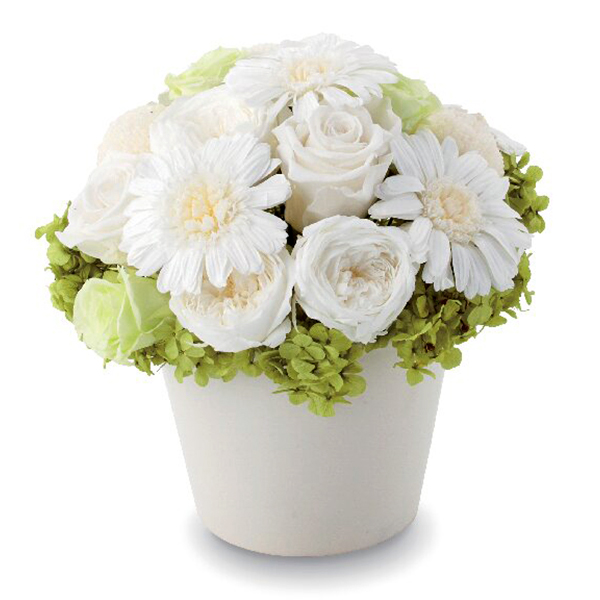 プリザーブドフラワー(ホワイト)