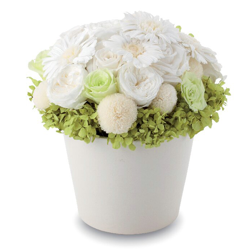 プリザーブドフラワー(ホワイト)