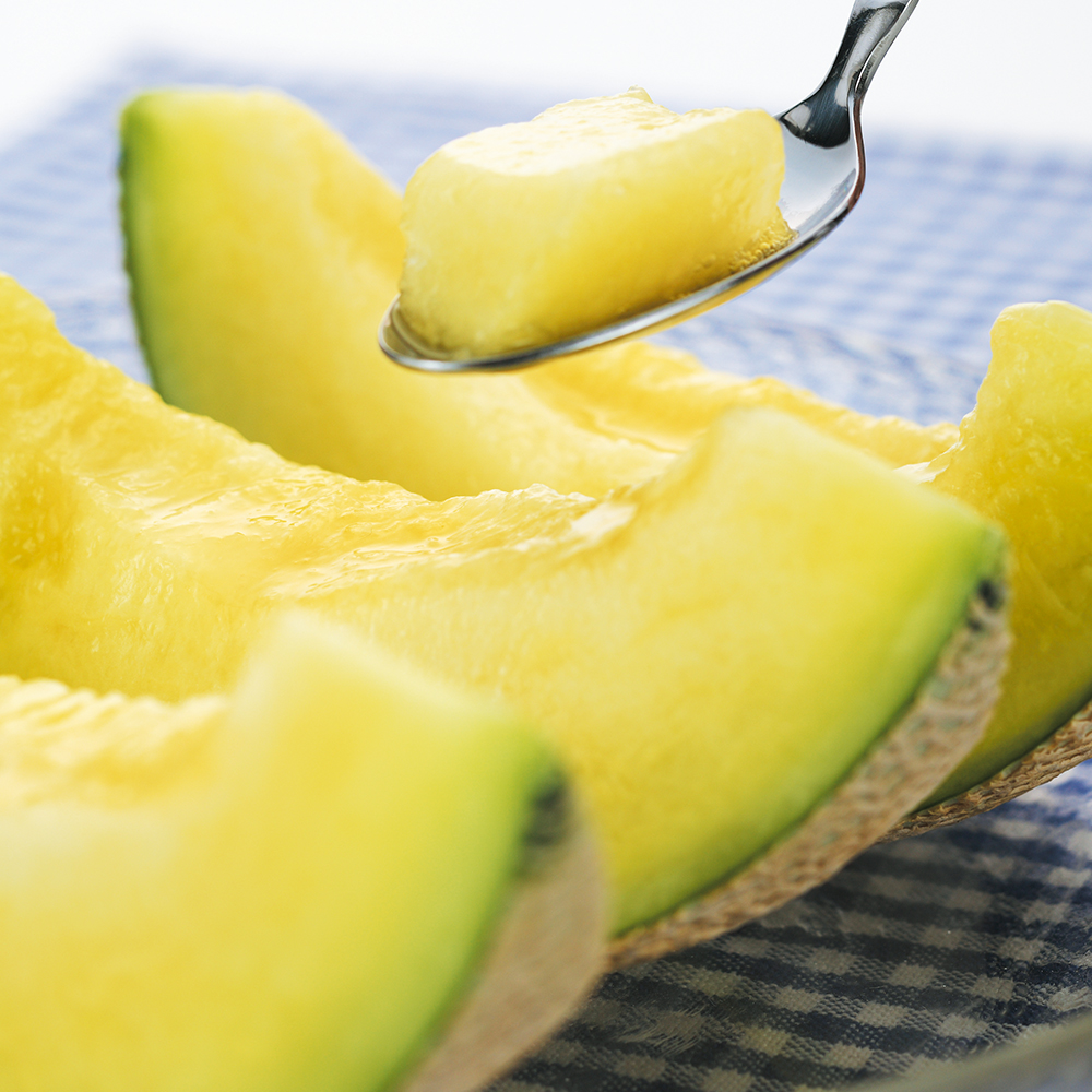 静岡マスクメロン