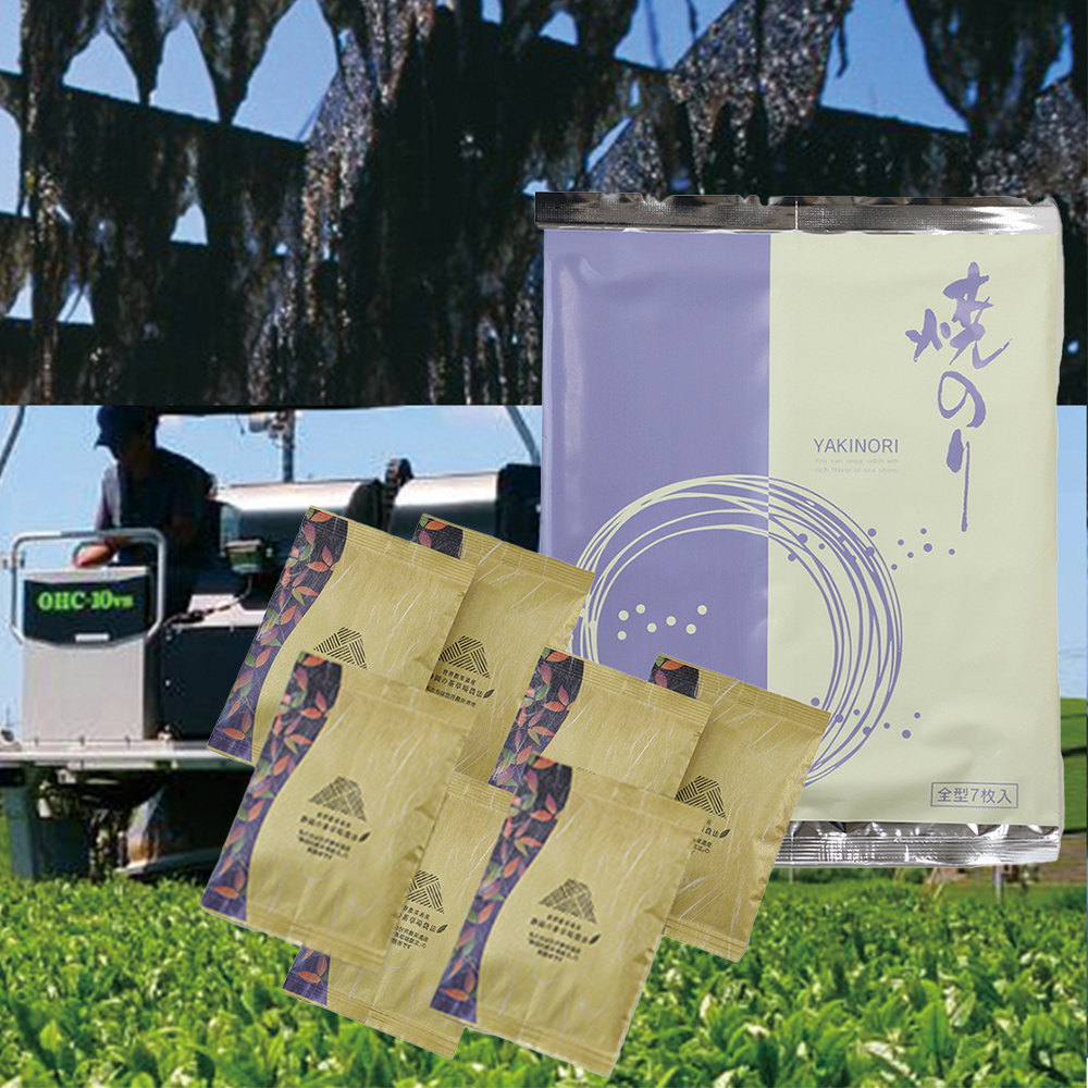 特選有明海苔＆世界農業遺産茶詰め合わせ