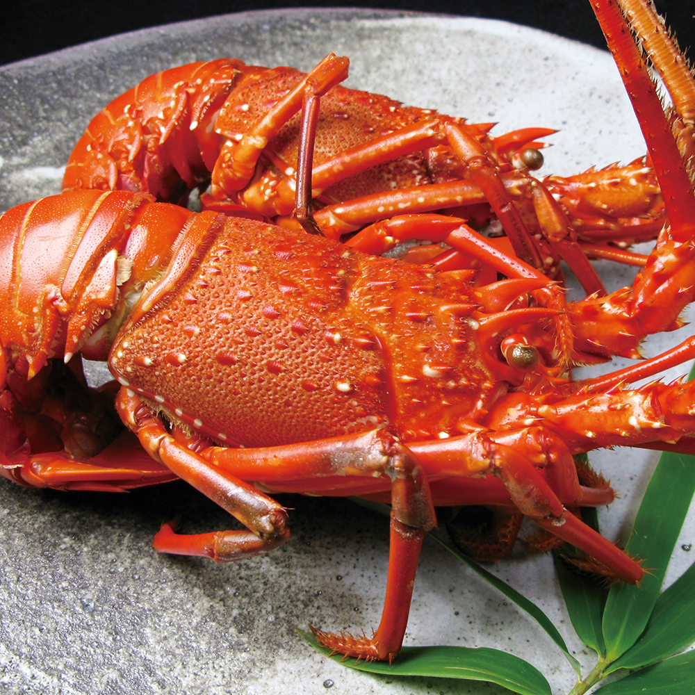 伊勢海老活〆（生冷凍）