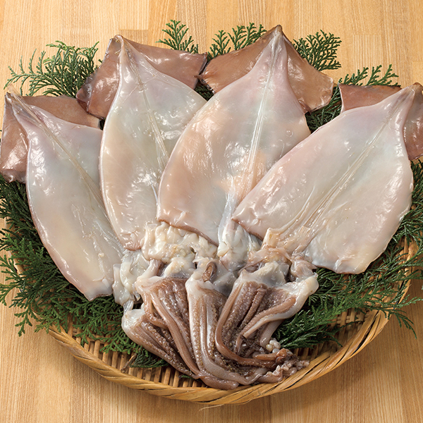 新潟名産 一夜干いか