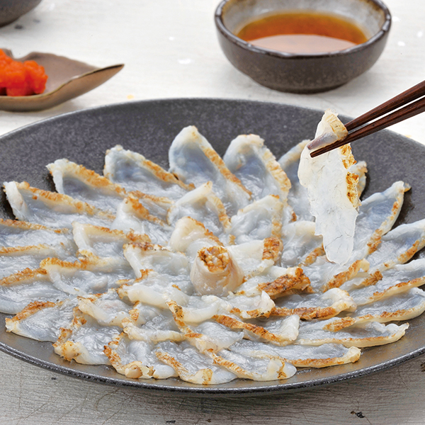 活〆山口県萩産まふぐの炙り刺身