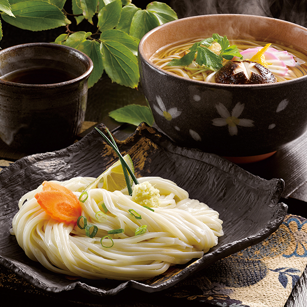 氷見うどんセット