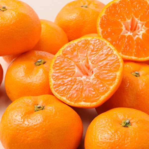 有田みかん2.5㎏