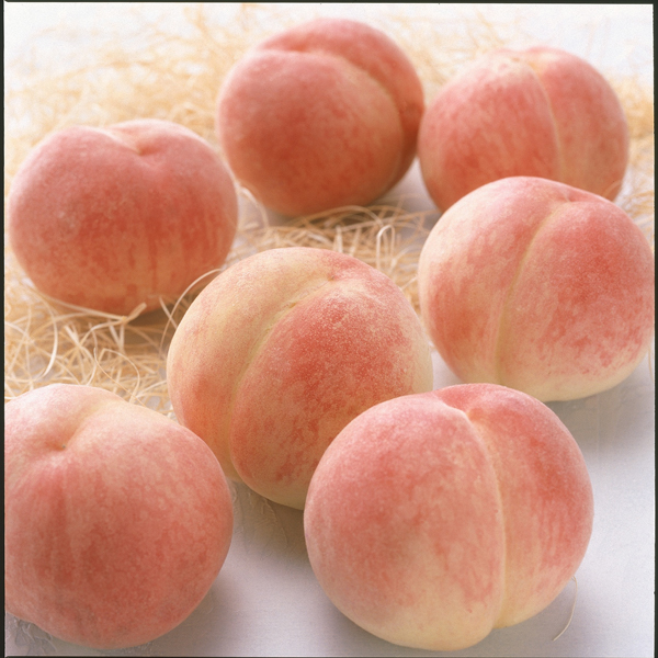 旬の桃1㎏