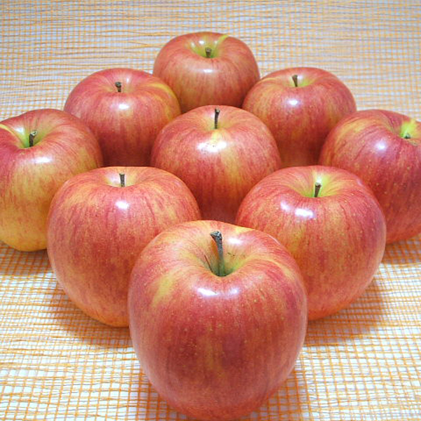 シナノスイート1.3㎏