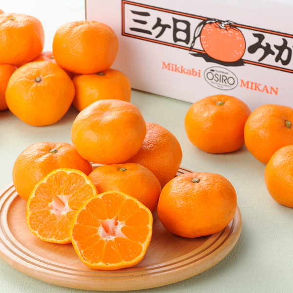 三ヶ日みかん青島2㎏