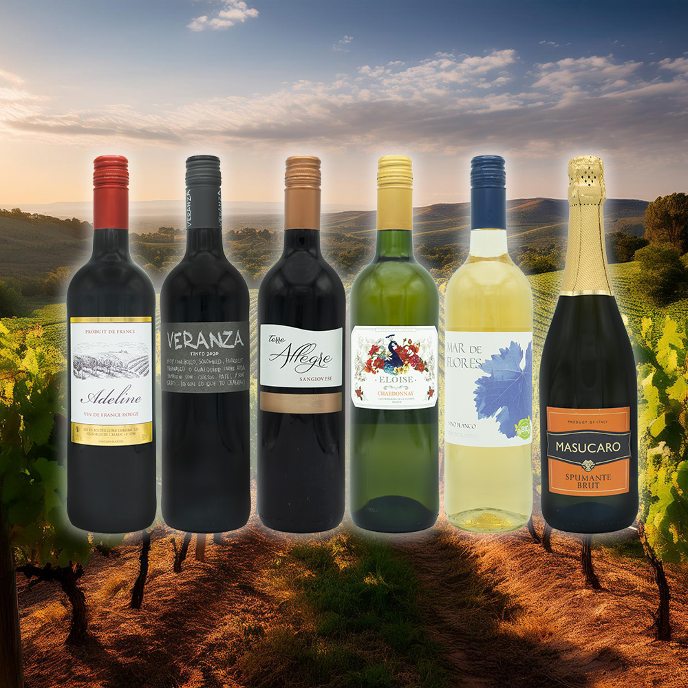 世界のワイン６本セット