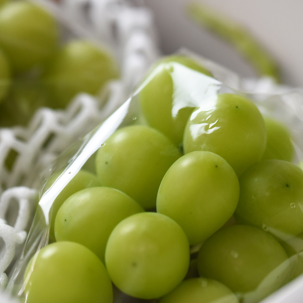 秀品 シャインマスカット600g 1房