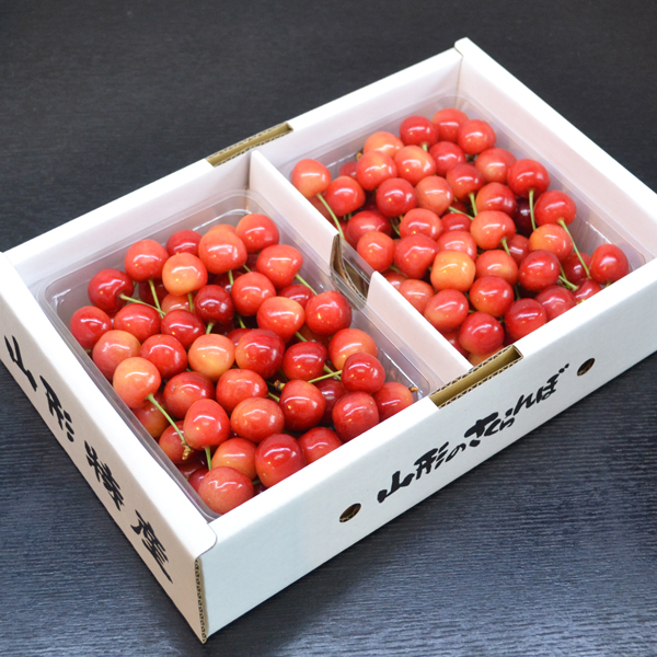 佐藤錦 贈答品 1kg(500g×2)