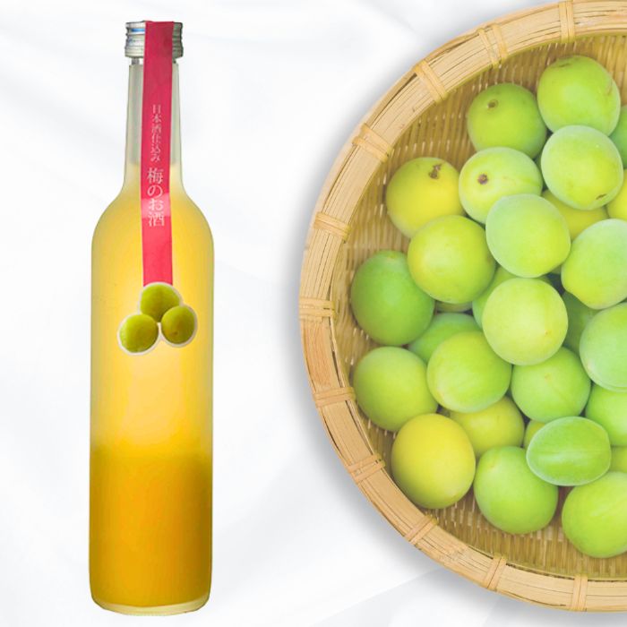 千代菊  日本酒仕込み 梅のお酒 500ml