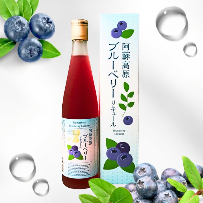 常楽酒造  阿蘇高原ブルーベリー酒 500㎖