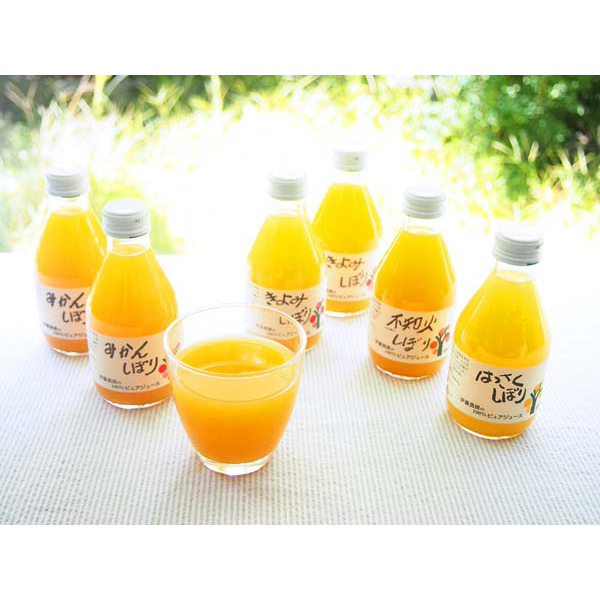 和歌山 「伊藤農園」 100%ピュアジュース180ml×9本セット