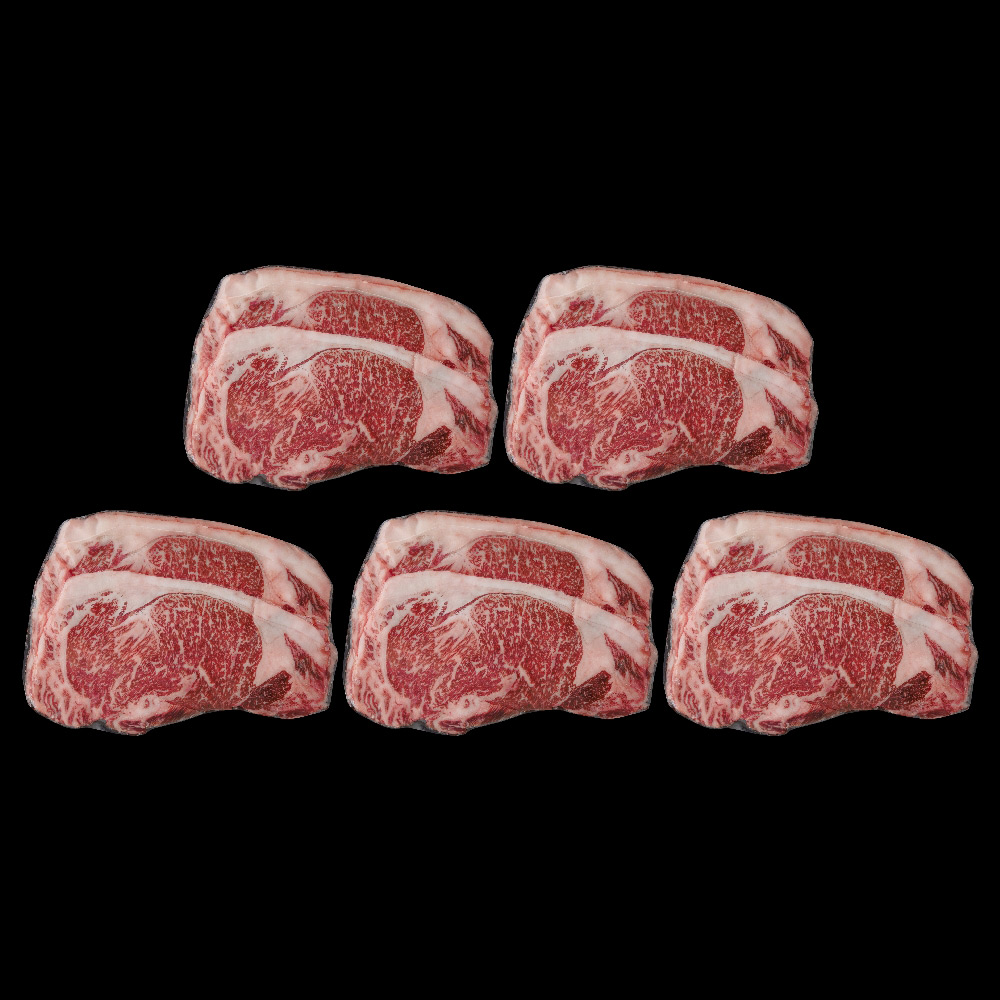 北海道平取産　黒毛和牛サーロインスライス　5セット