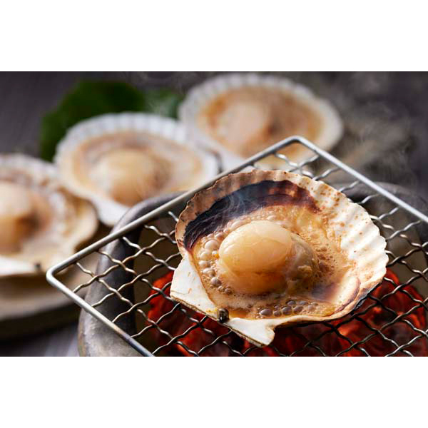 北海道産 帆立片貝