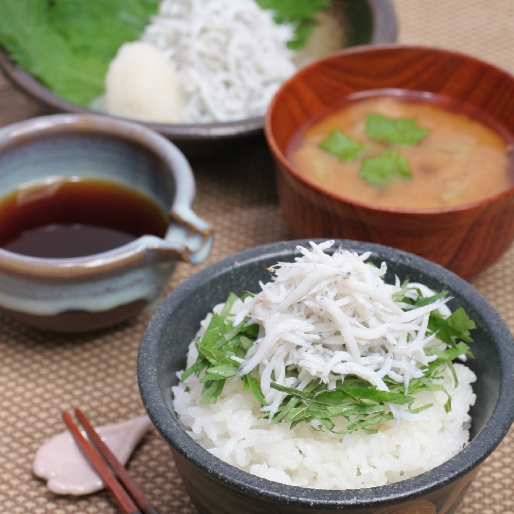 和歌山　紀州　かまあげしらす