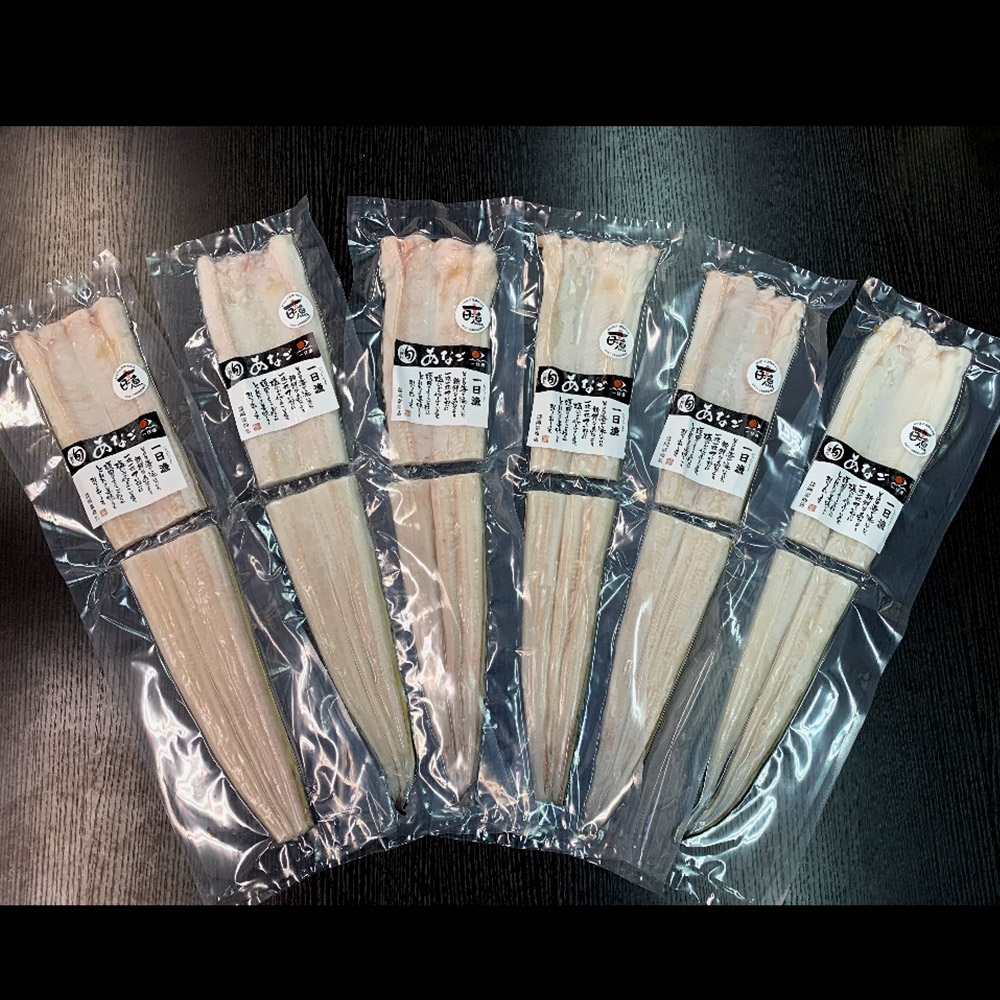 日本海大ぶり穴子の一夜干し　B