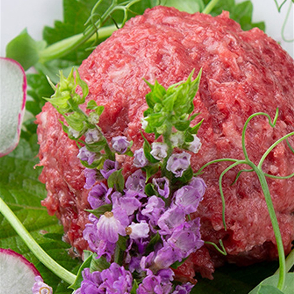 桜うまトロ＆馬肉ユッケ　