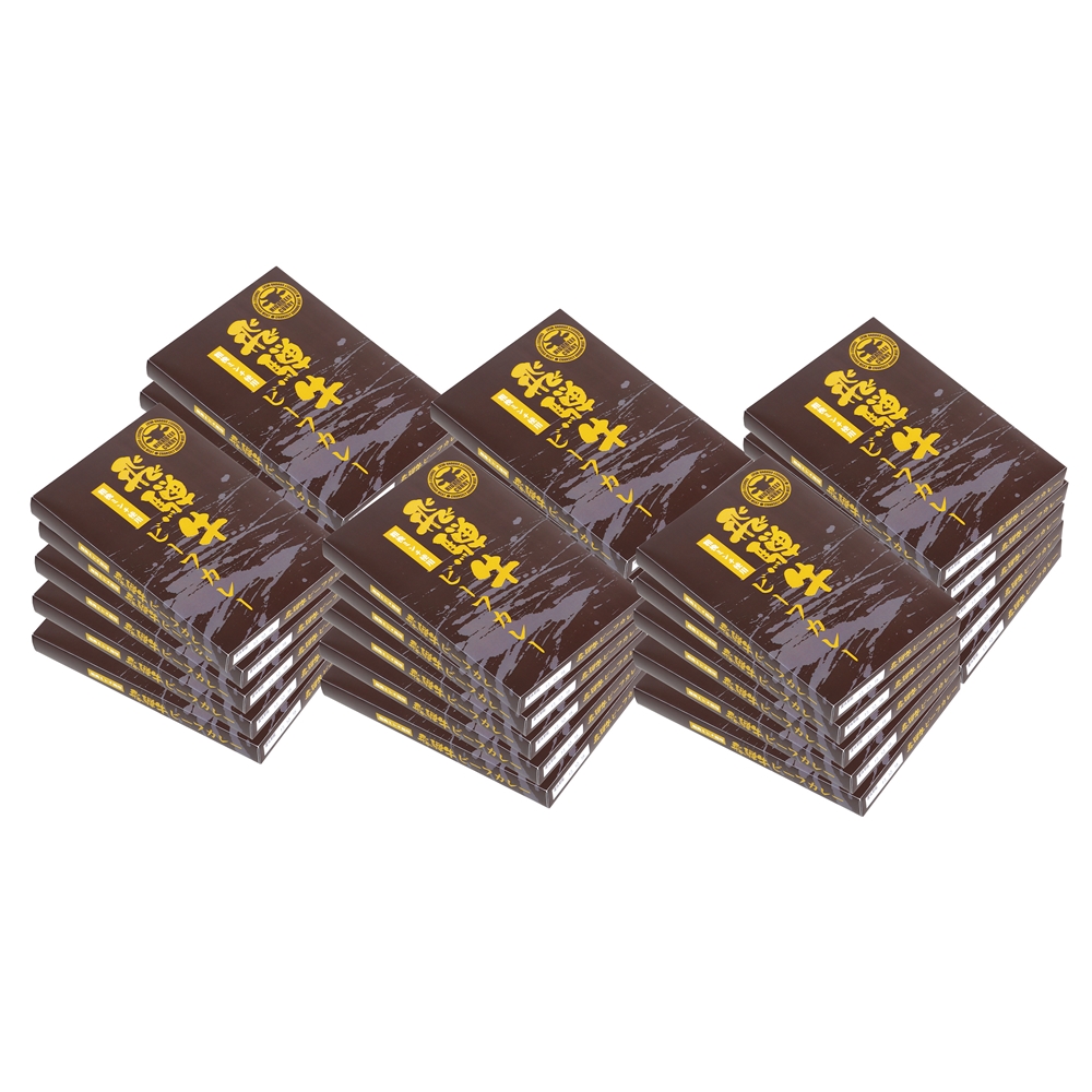 【個別専用】岐阜　飛騨牛 粗挽きミンチカレー 30食