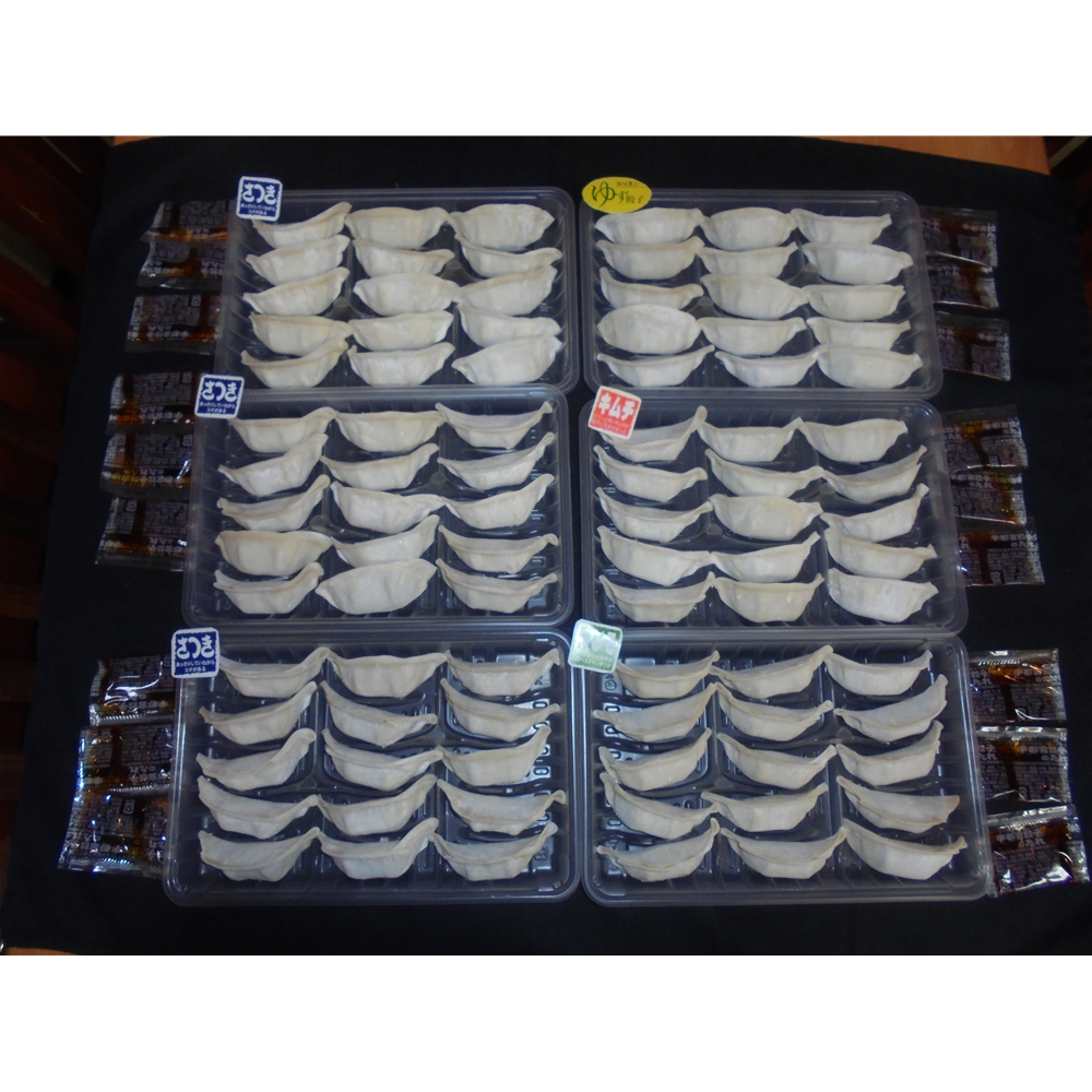 栃木　宇都宮餃子 「さつき」 セット　A