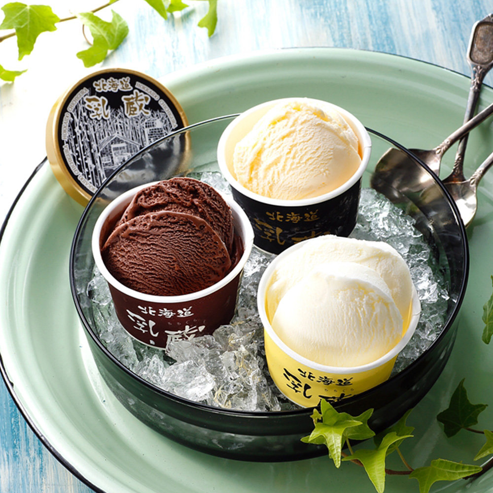 北海道 「乳蔵」 北海道プレミアムアイスクリーム3種9個