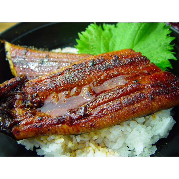 高知 「四万十味紀行」 高知県産うなぎ蒲焼カット